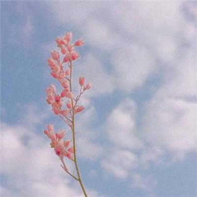 BO半岛综合app安全下载手机app下载